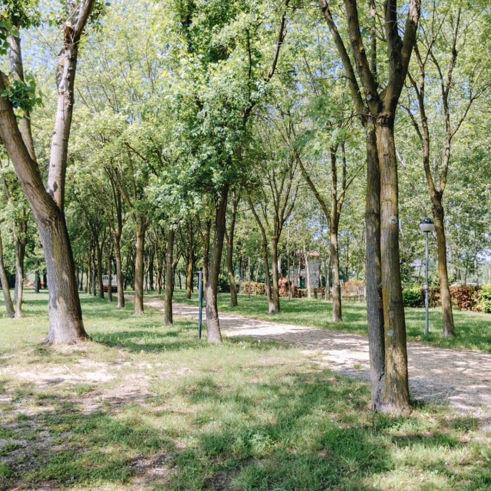 Piazzole