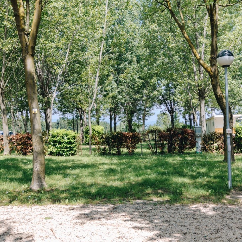 Piazzole